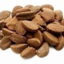 Castanha Do Para  C/Casca Kg