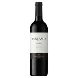 Vinho Tinto Argentino Benjamin Malbec 750ml