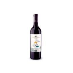 Vinho Tinto Argentino Clube Des Sommeliers Roble Cabernet Sauvignon 750ml