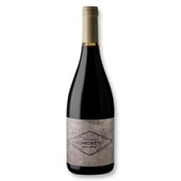 Vinho Tinto Argentino Zuccardi Concreto 750ml
